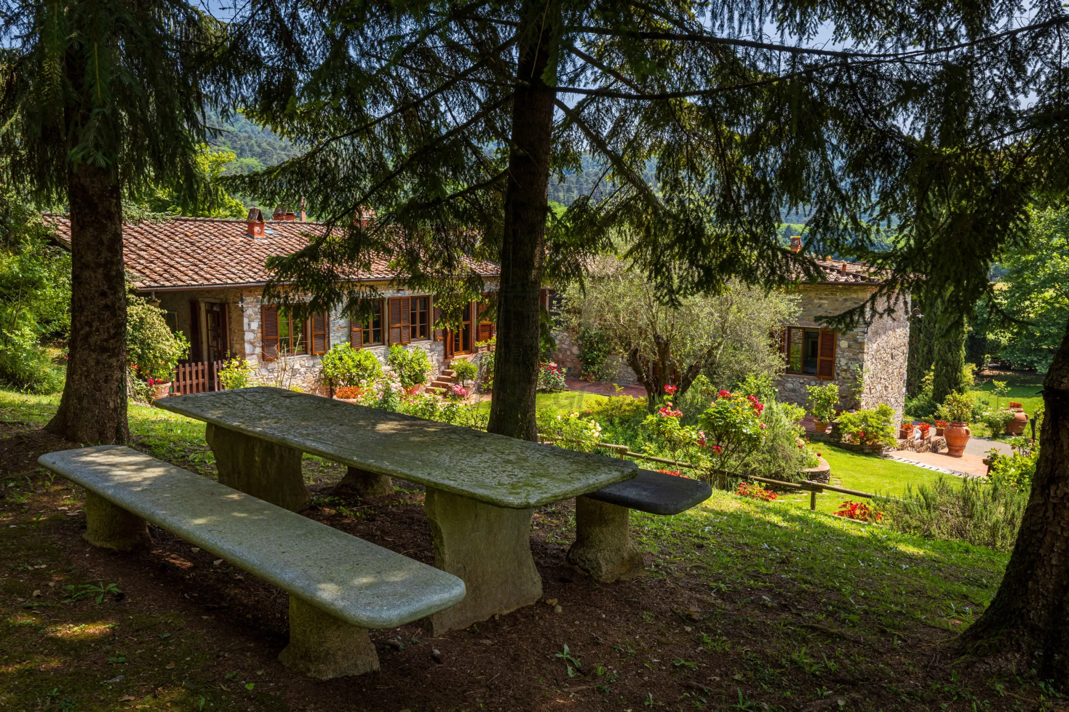 Immagine per Villa in vendita a Lucca via Del Maccennere