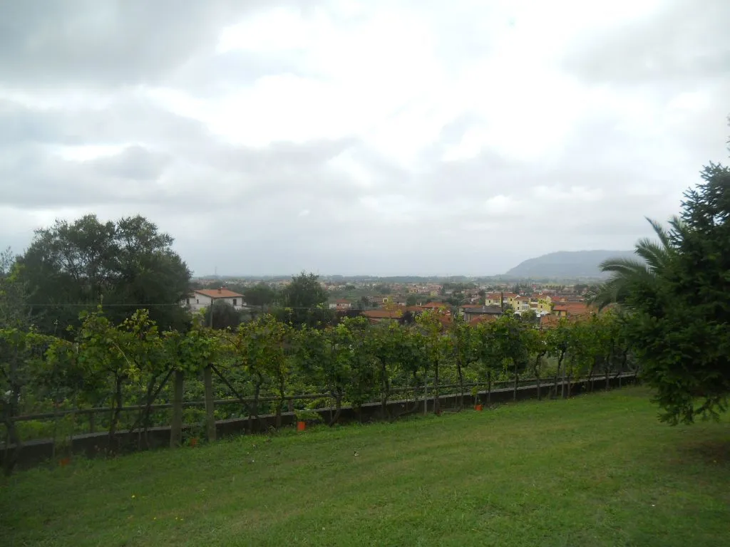Immagine per Villa in vendita a Castelnuovo Magra via Palvotrisia 92