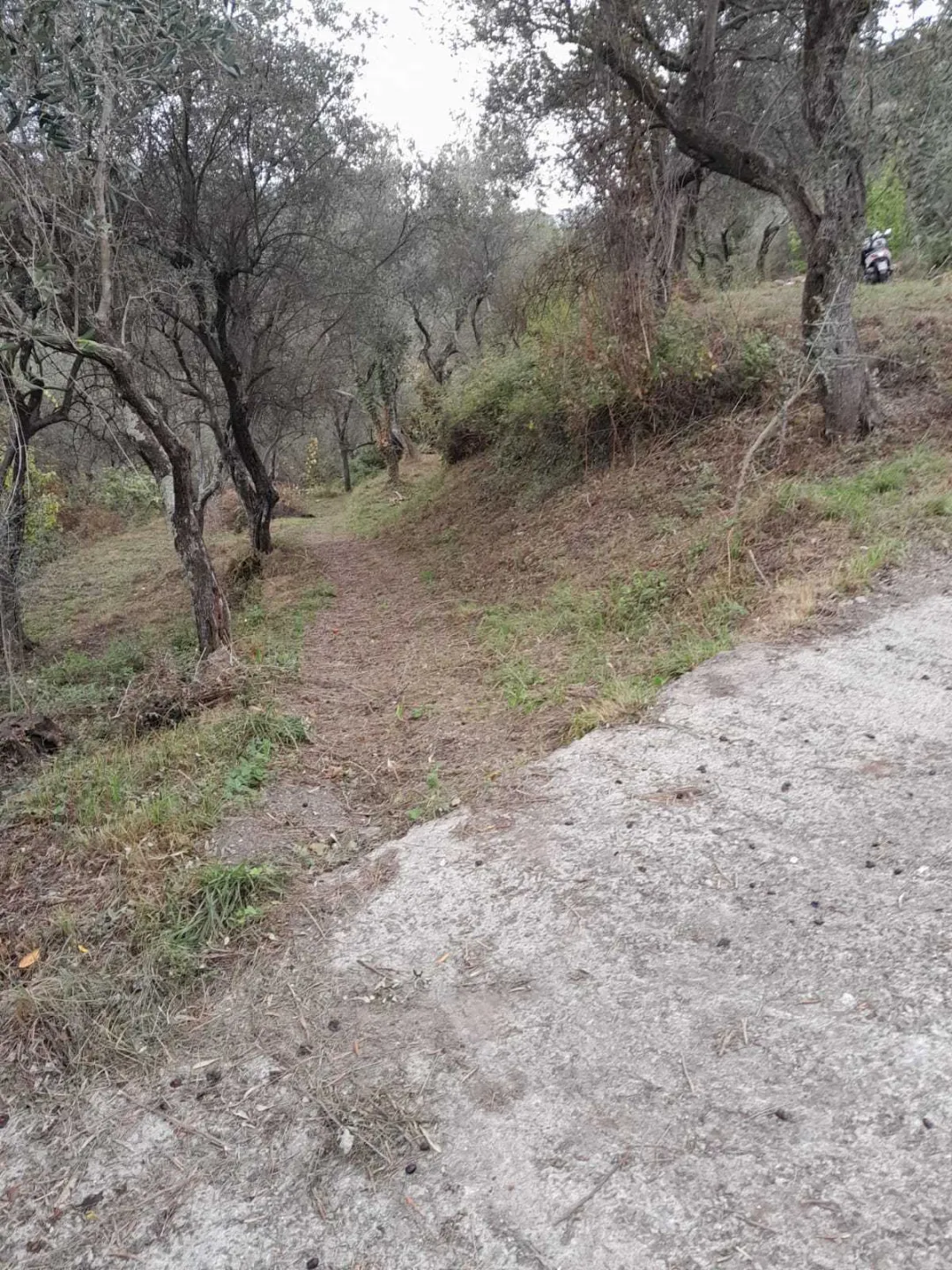 Immagine per Agricolo in vendita a Arcola via Melara 1