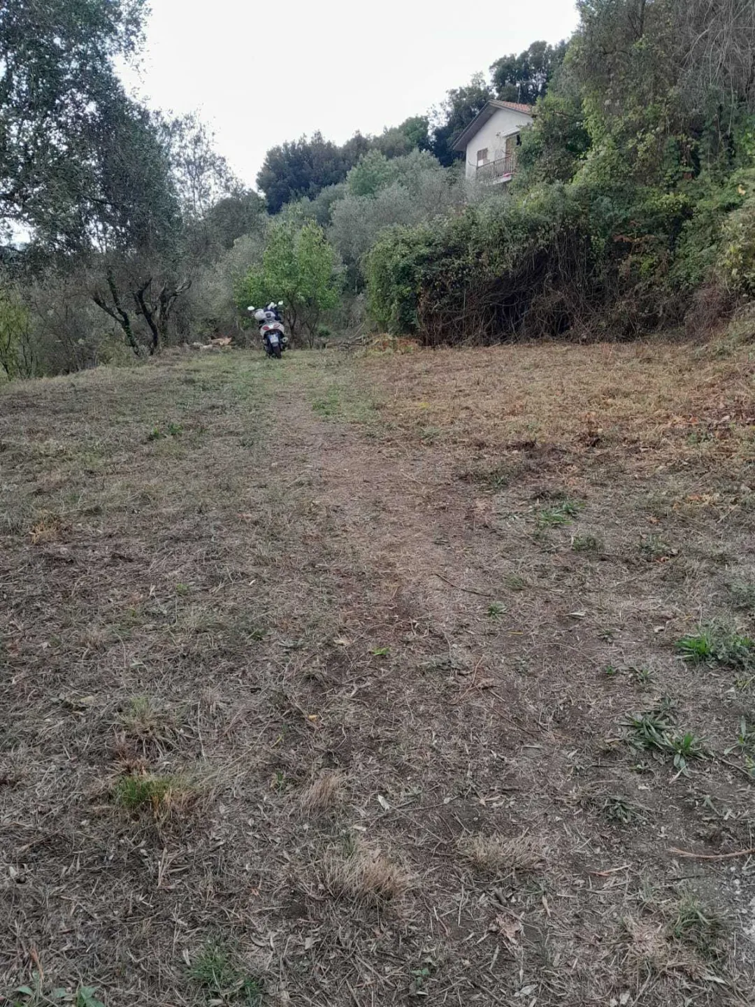 Immagine per Agricolo in vendita a Arcola via Melara 1
