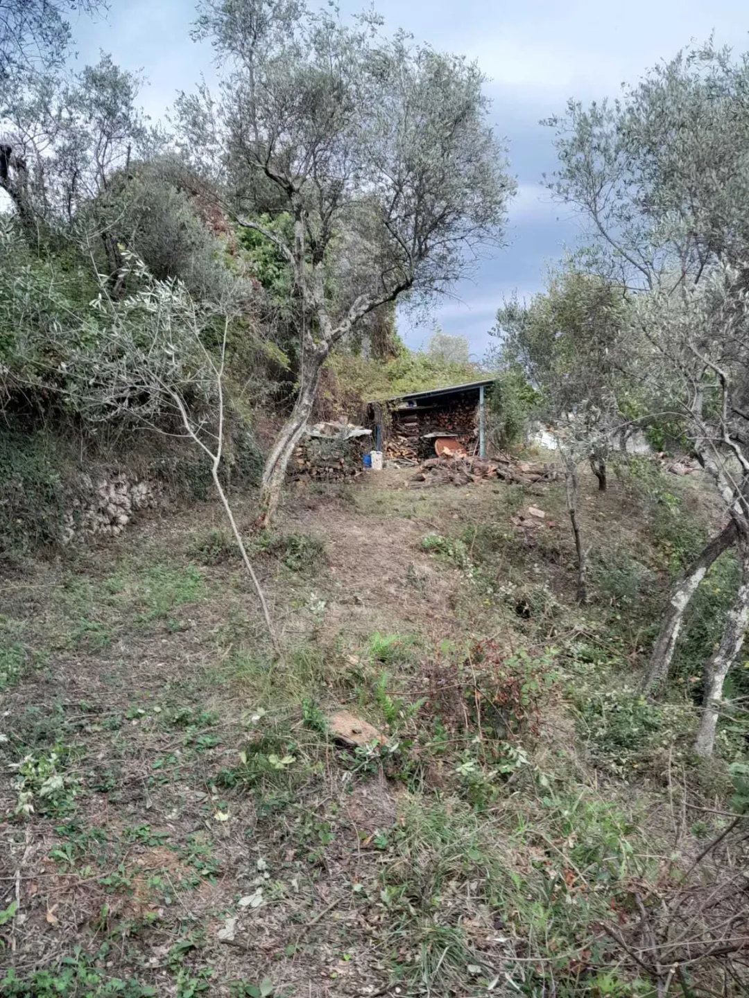 Immagine per Agricolo in vendita a Arcola via Melara 1
