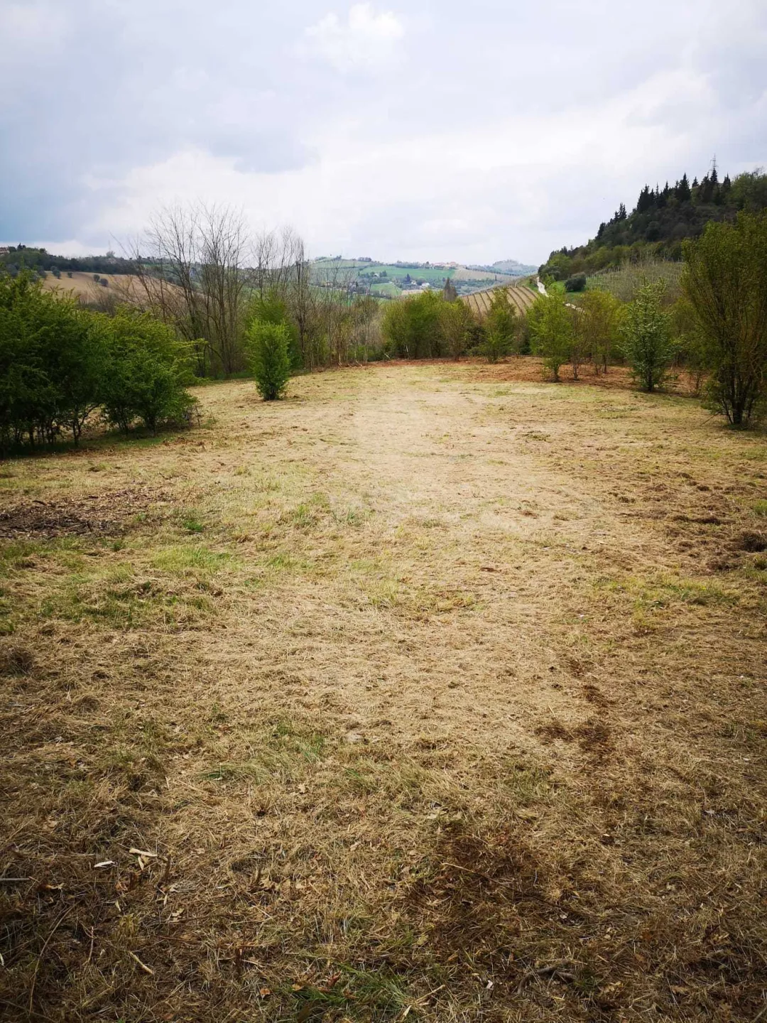 Immagine per Agricolo in vendita a Monsampolo del Tronto via Piediprato