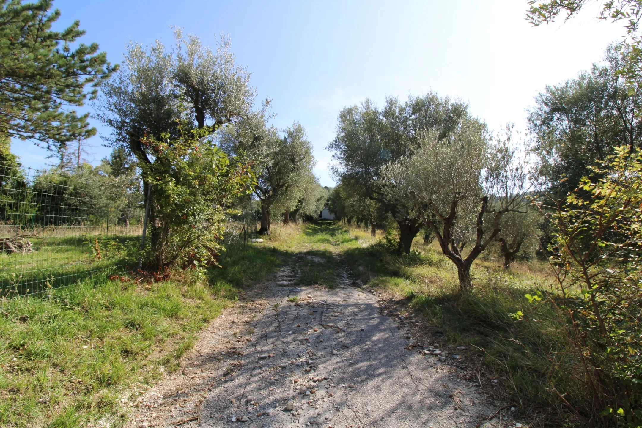Immagine per Villa trifamiliare in vendita a San Paolo di Jesi via Piana 45