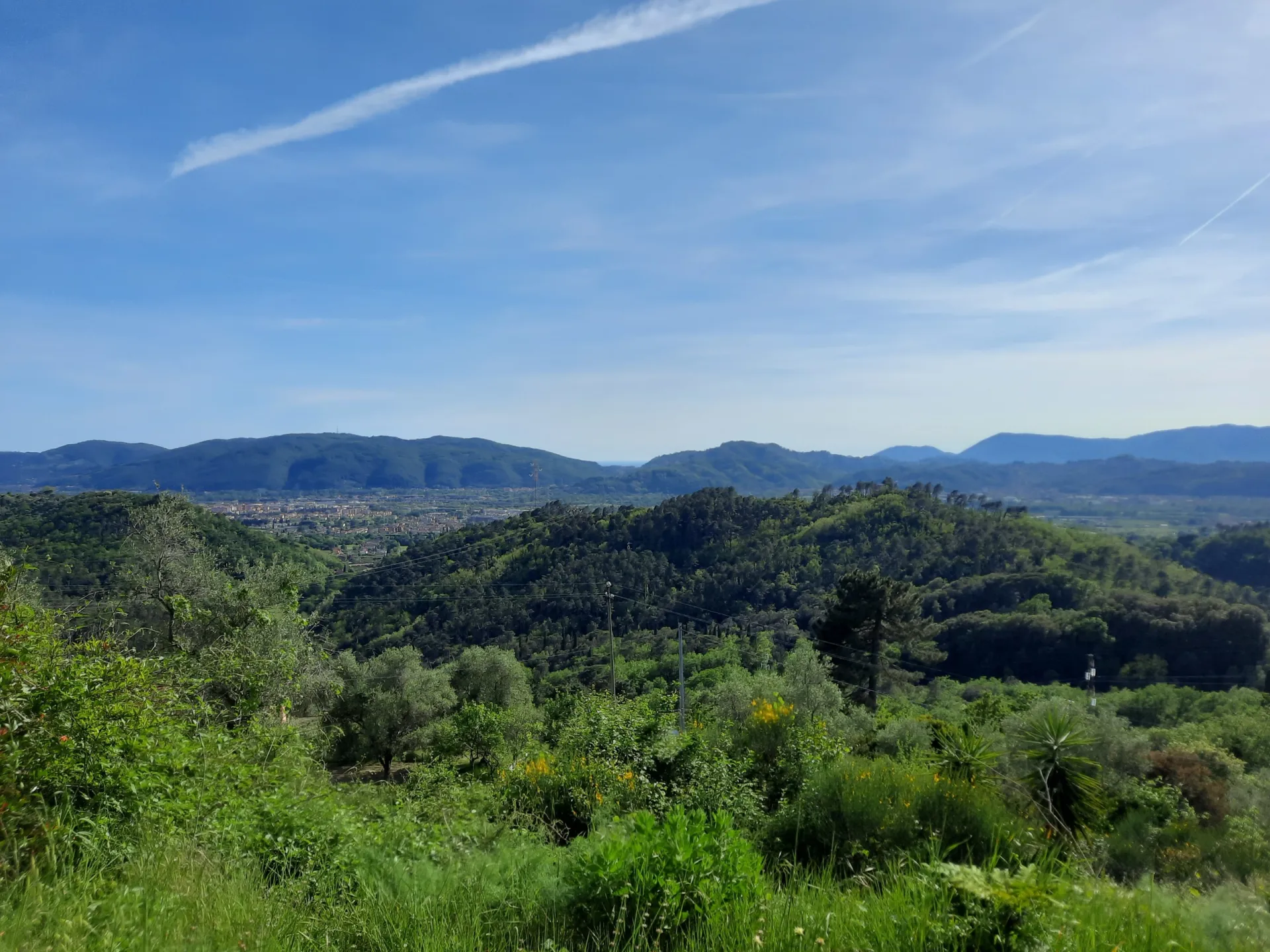 Immagine per Villa in vendita a Sarzana via Falcinello 1