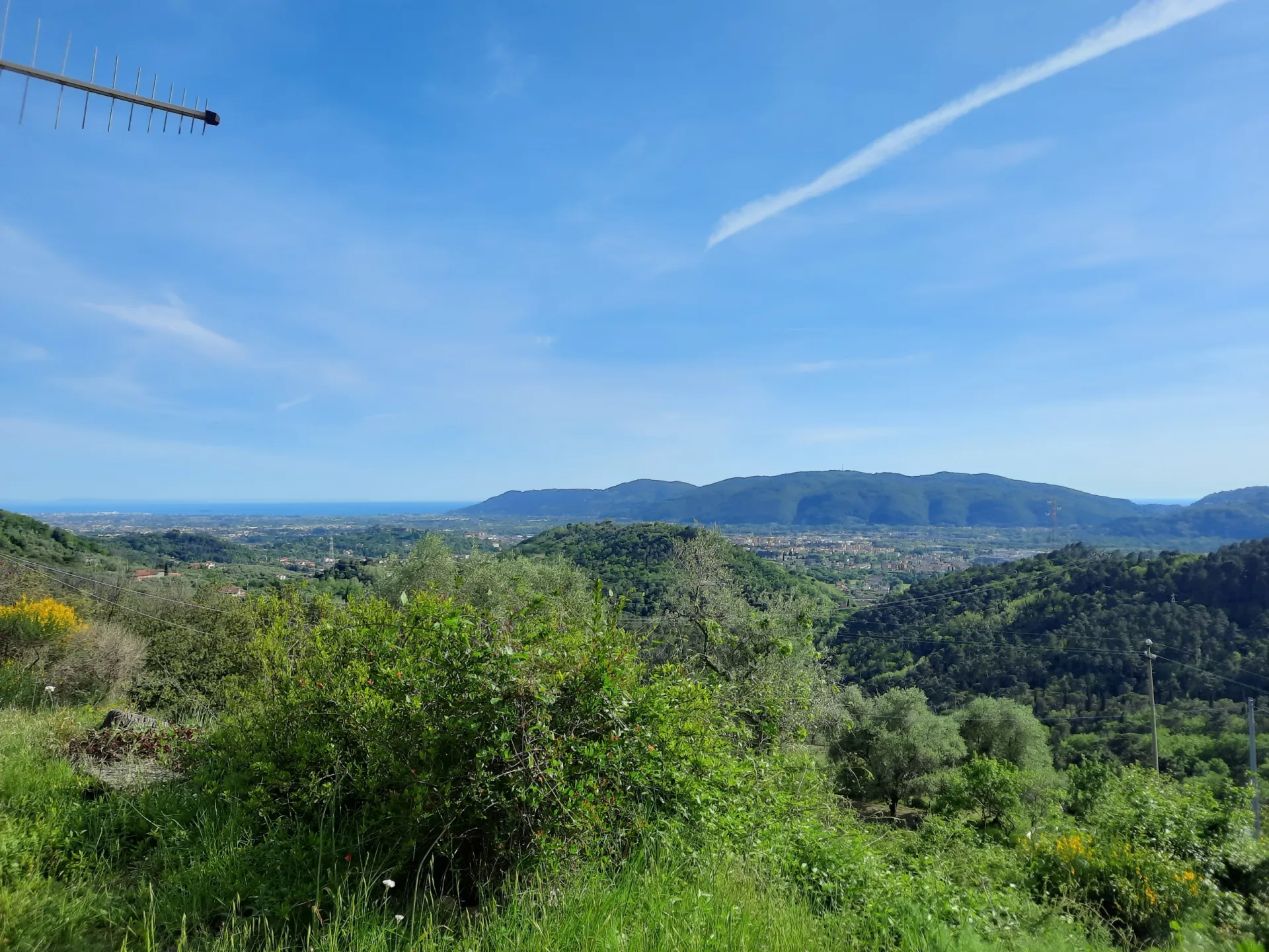 Immagine per Villa in vendita a Sarzana via Falcinello 1