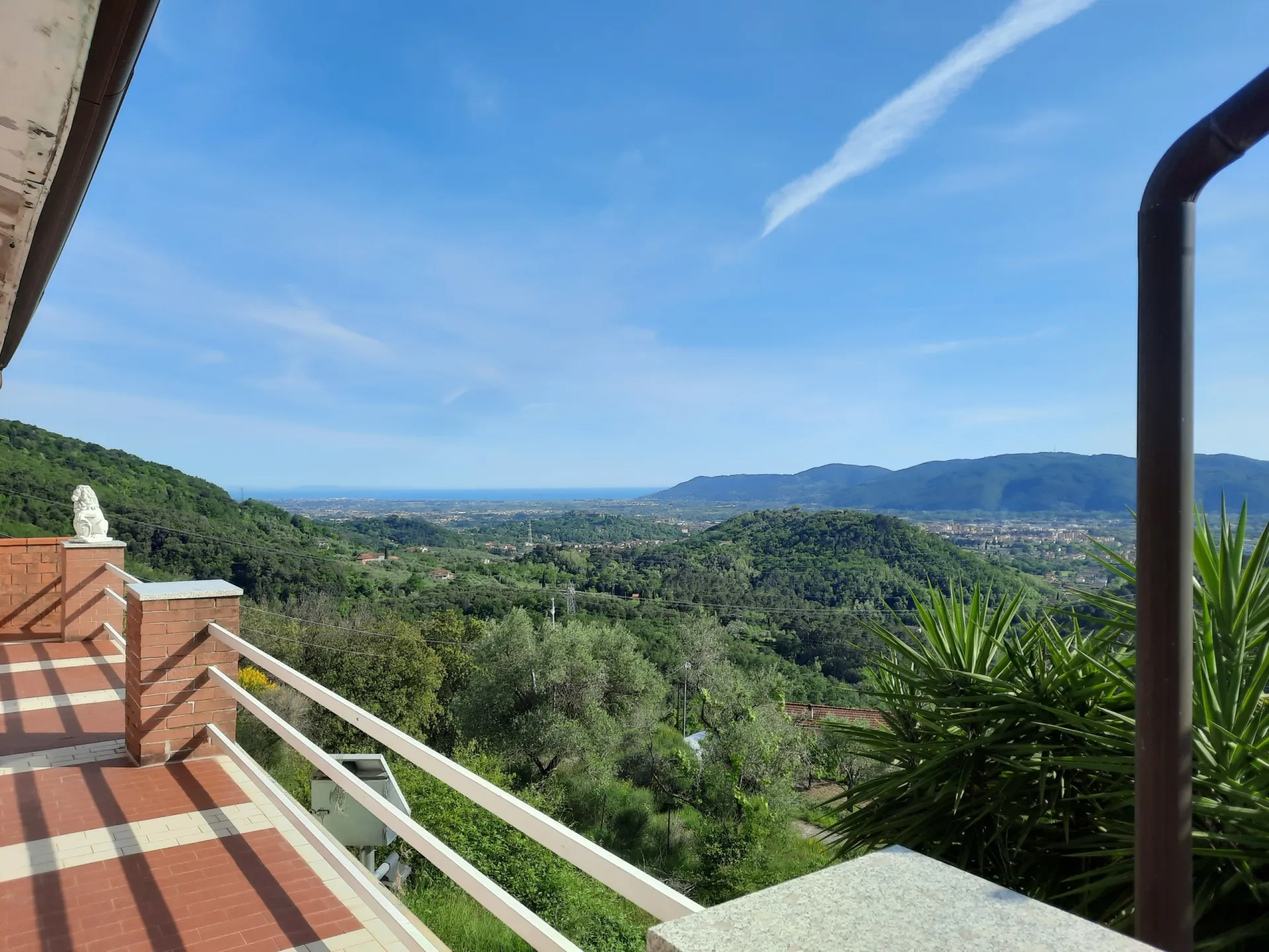 Immagine per Villa in vendita a Sarzana via Falcinello 1