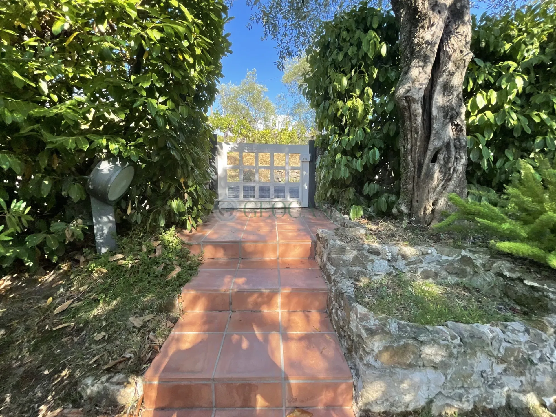 Immagine per Villa in vendita a Sarzana via Celso 38