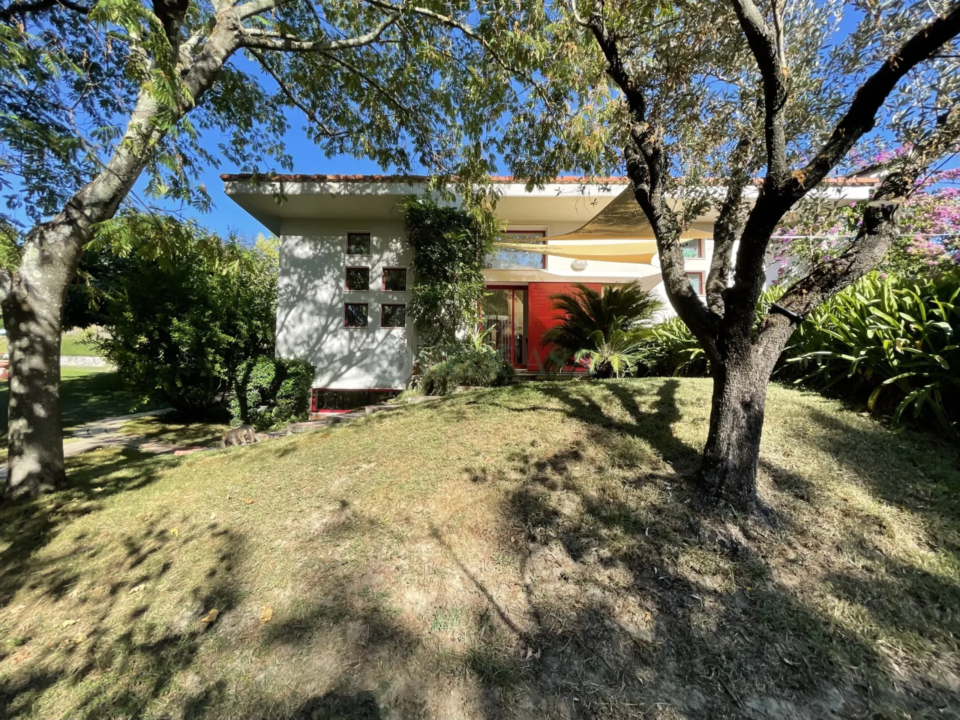 Immagine per Villa in vendita a Sarzana via Celso 38