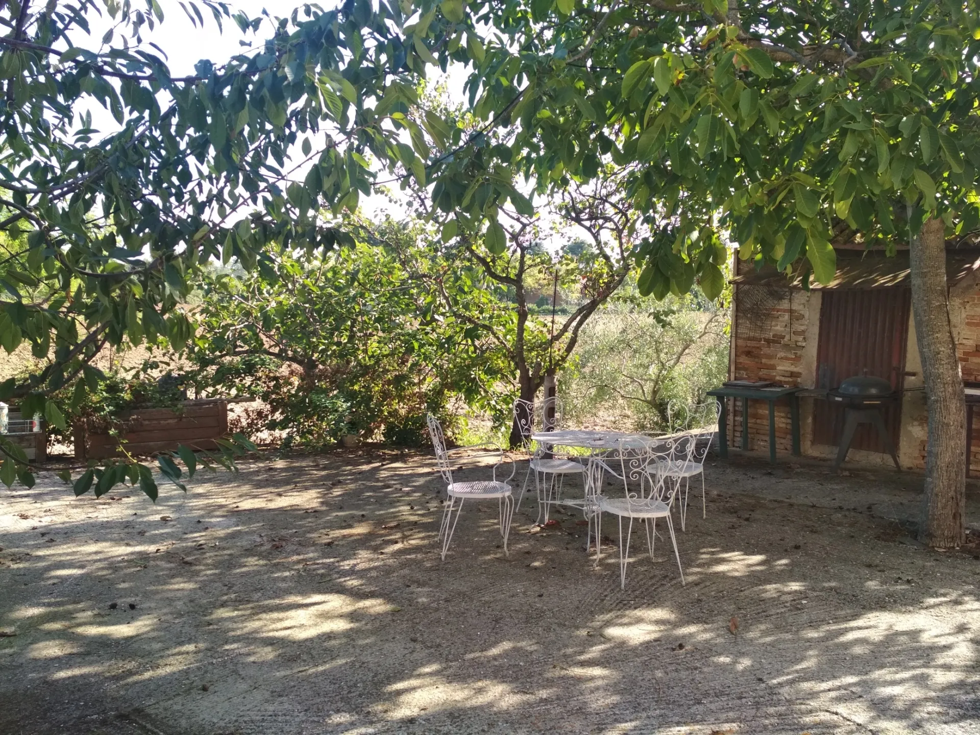 Immagine per casa in vendita a Monsano via Selvatorta 20