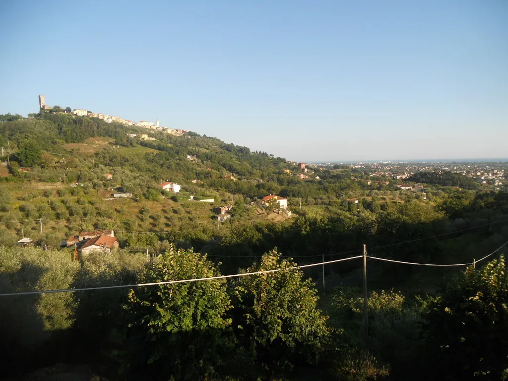 Immagine per Terreno agricolo in vendita a Castelnuovo Magra via Vittorio Veneto 55