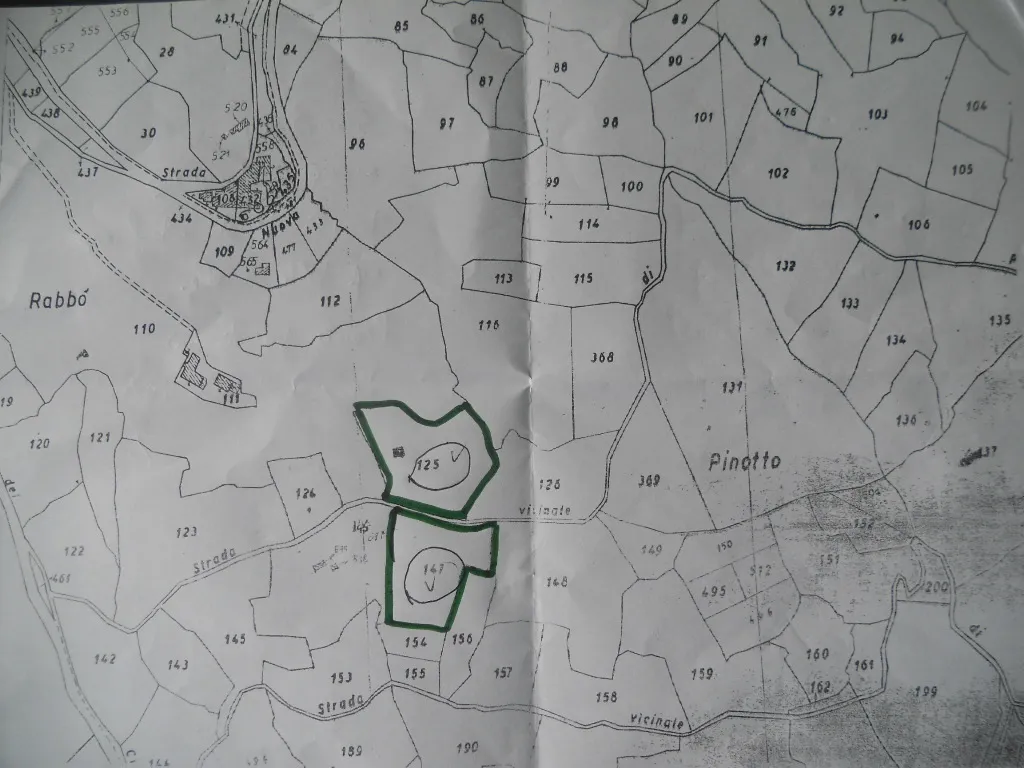 Immagine per Terreno agricolo in vendita a Castelnuovo Magra via Vittorio Veneto 55