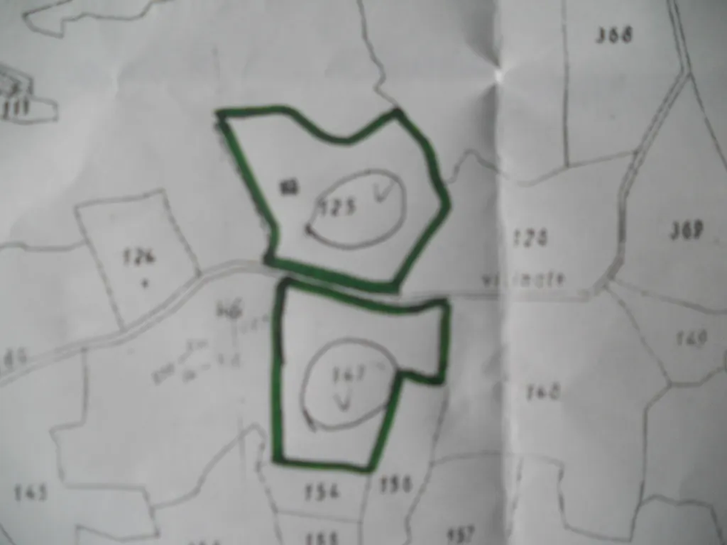 Immagine per Terreno agricolo in vendita a Castelnuovo Magra via Vittorio Veneto 55