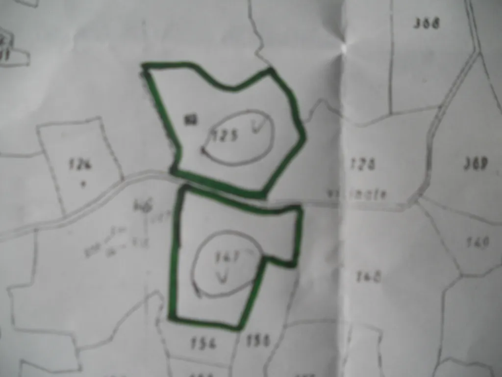 Immagine per Terreno agricolo in vendita a Castelnuovo Magra via Vittorio Veneto 55