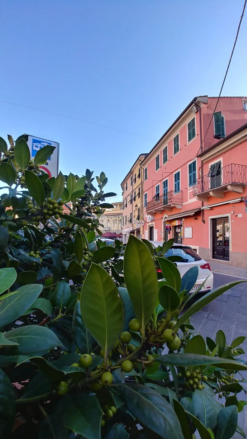 Immagine per Locale commerciale in vendita a Sarzana piazza San Giorgio 28