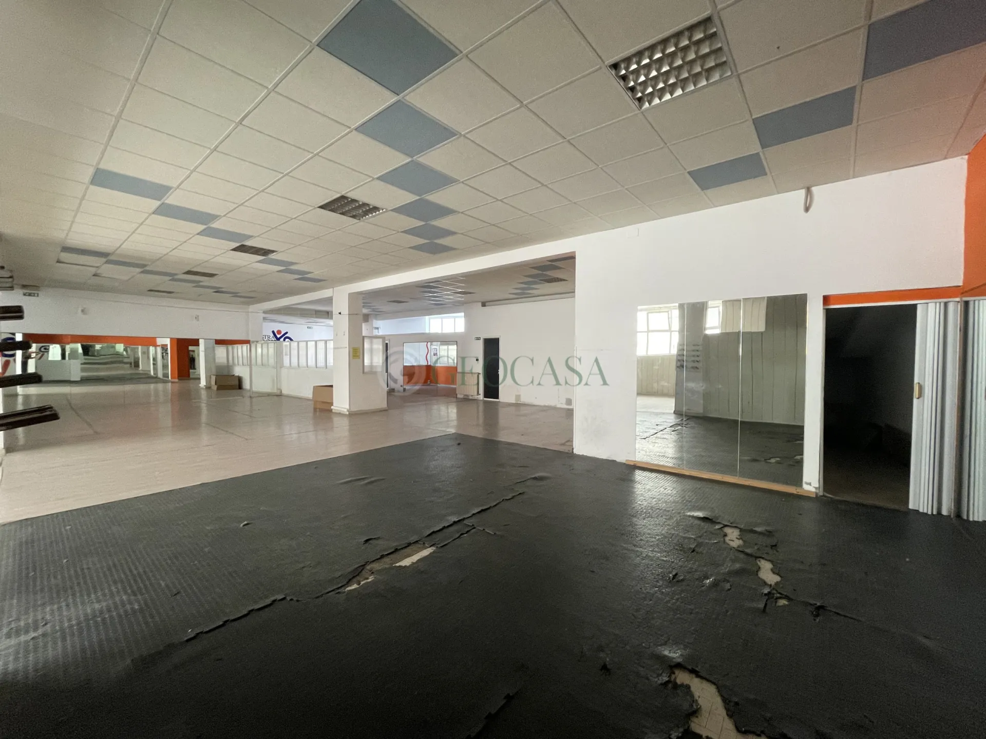 Immagine per Palestra in vendita a Sarzana via Torrione Stella Sud