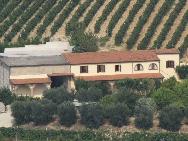 Immagine per Azienda agricola in vendita a Ripatransone via Contrada Pinacciole