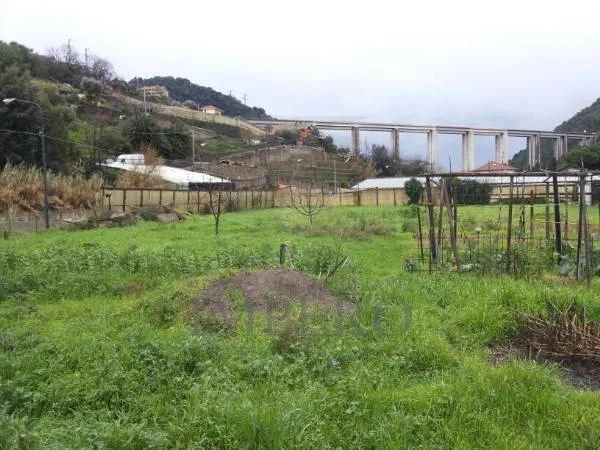 Immagine per Terreno edificabile in vendita a Vallecrosia via Provinciale