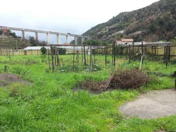 Immagine per Terreno edificabile in vendita a Vallecrosia via Provinciale