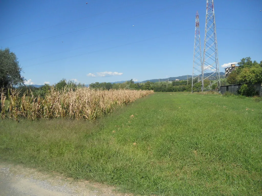 Immagine per Terreno agricolo in vendita a Castelnuovo Magra via Gragnola 13