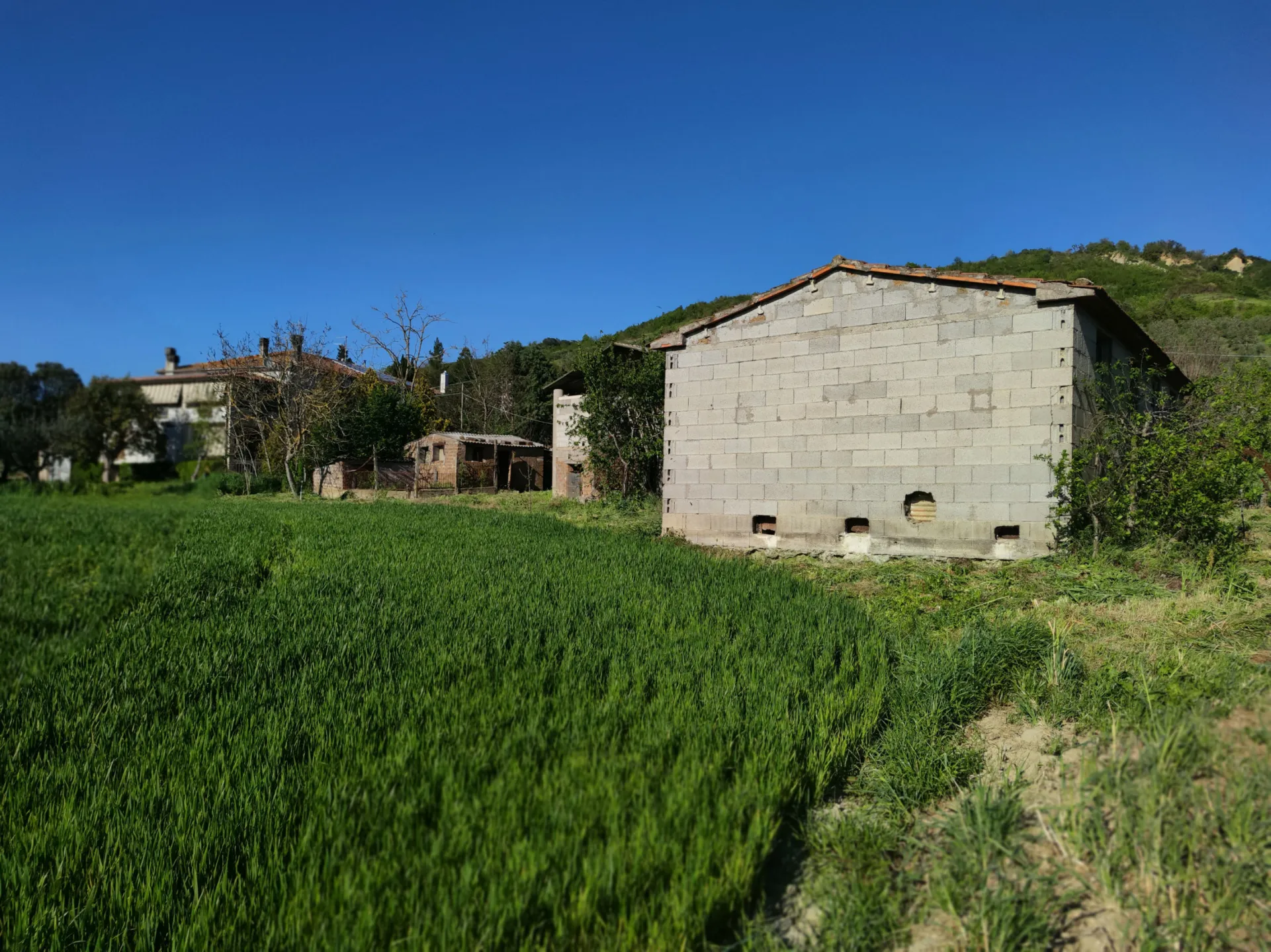 Immagine per Terreno agricolo in vendita a Alviano via Vocabolo Pupigliano