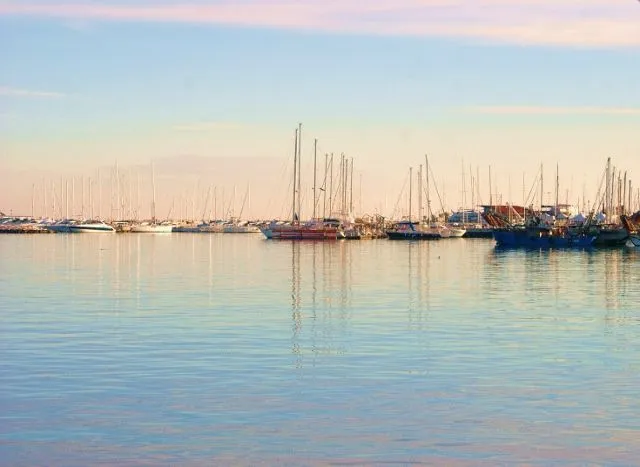 Immagine per Gastronomia in vendita a San Benedetto del Tronto via Amerigo Vespucci 19