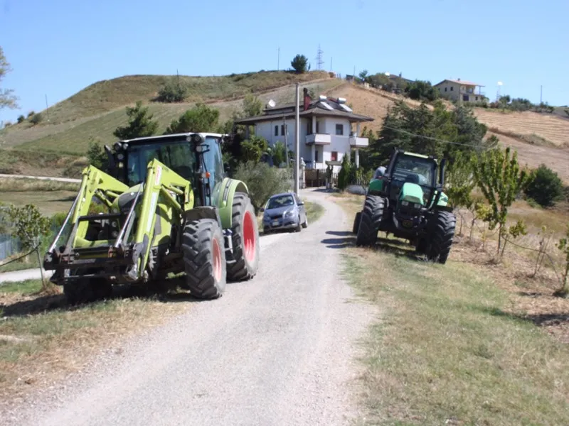 Immagine per Azienda Agricola in vendita a Ascoli Piceno