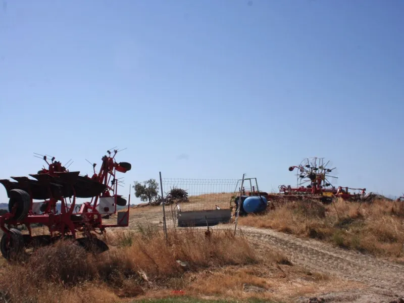 Immagine per Azienda Agricola in vendita a Ascoli Piceno