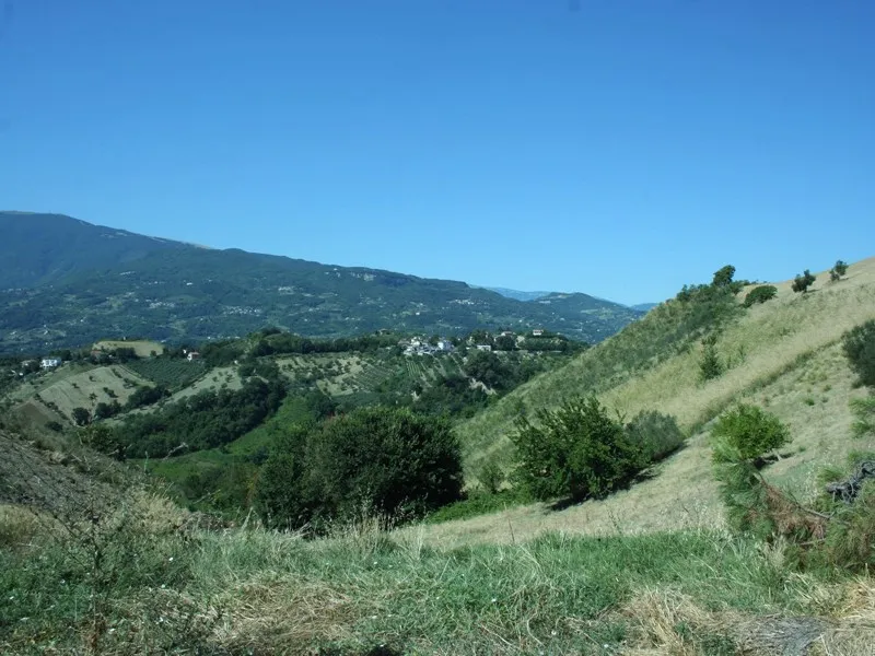 Immagine per Azienda Agricola in vendita a Ascoli Piceno