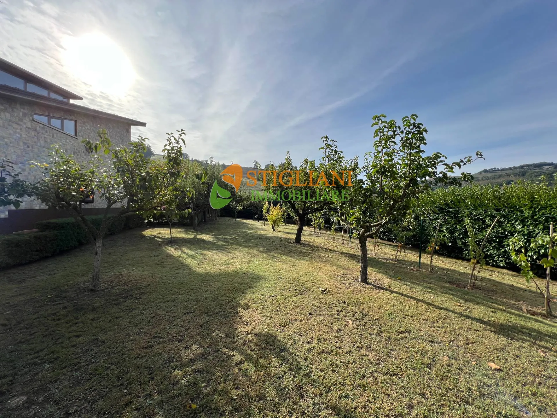 Immagine per Villa in vendita a Fossalto Contrada Ara Vecchia