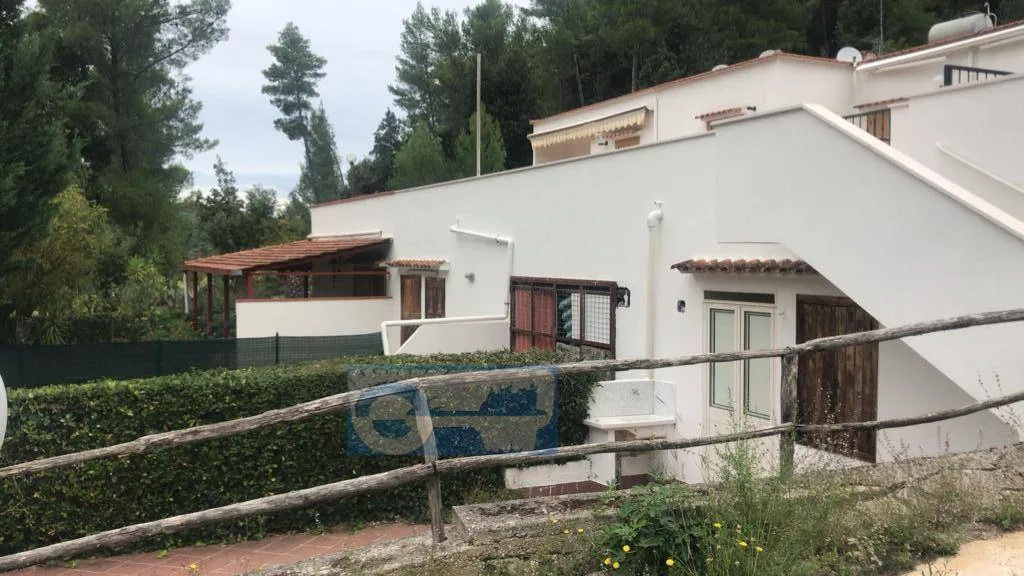 Immagine per Appartamento in vendita a Peschici Località Montestregone