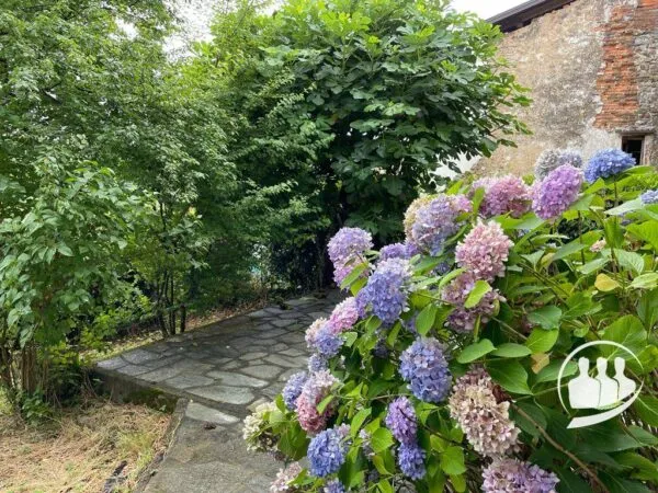 Casa Indipendente via Masserano Frazione Rongio Superiore, Masserano