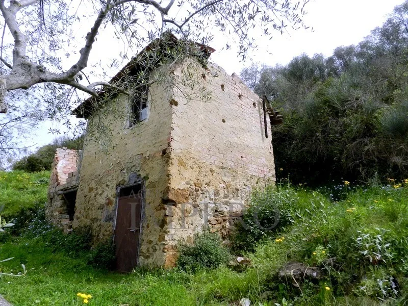 Immagine per Area verde in vendita a Perinaldo via Località Curl