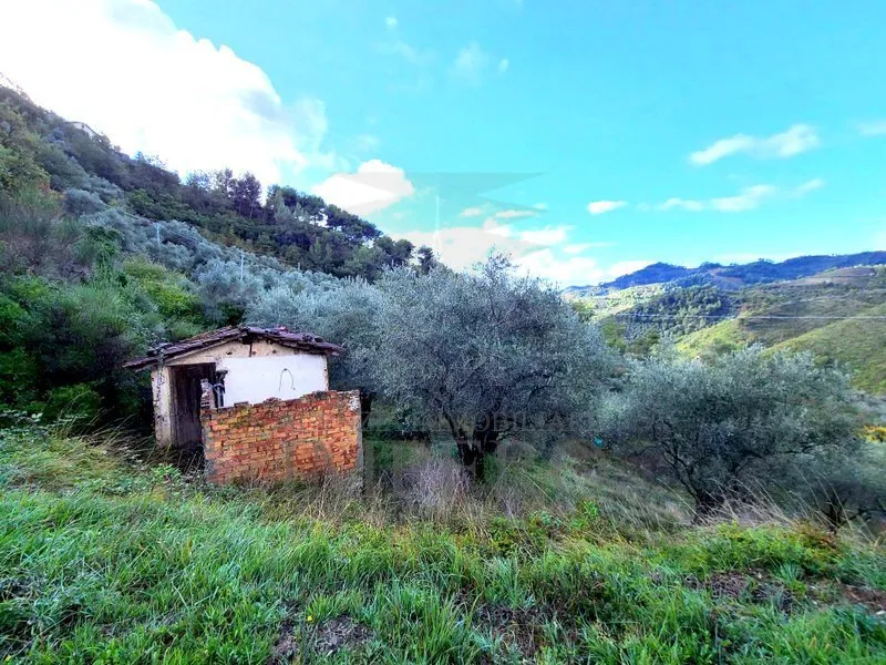 Immagine per Area verde in vendita a Perinaldo via Località Curl