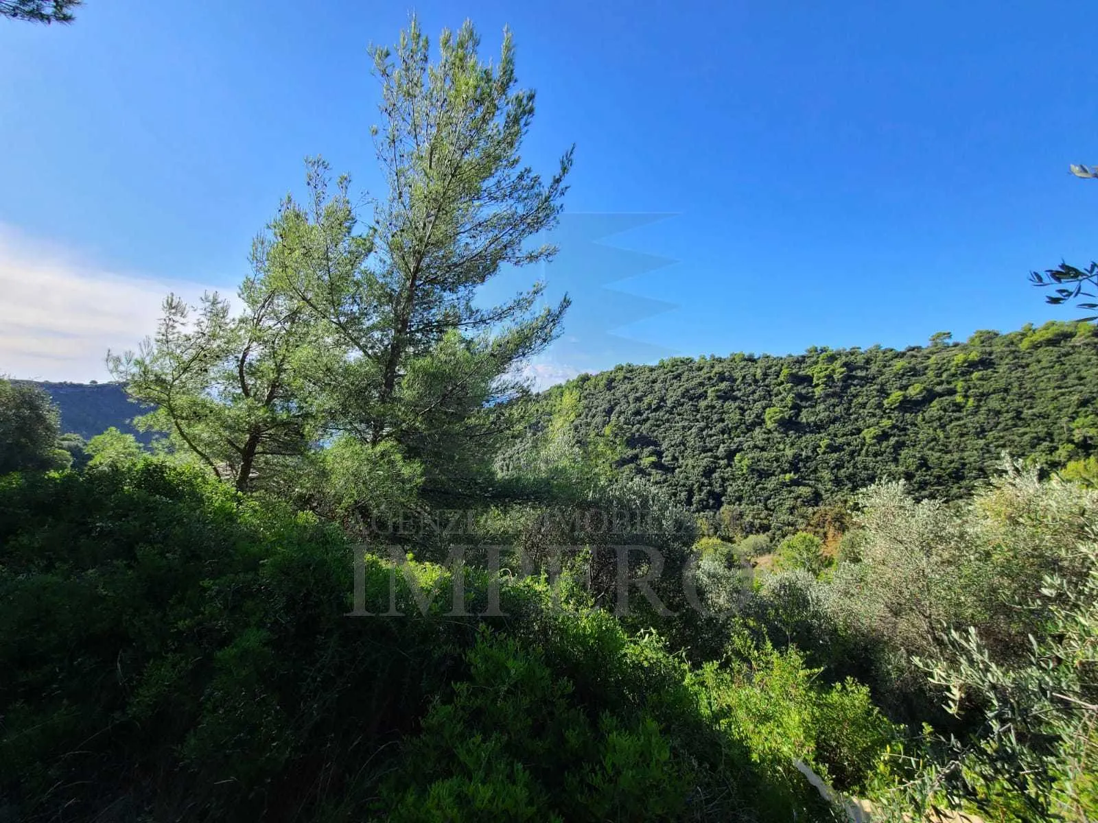 Immagine per Terreno edificabile in vendita a Camporosso via San Giacomo