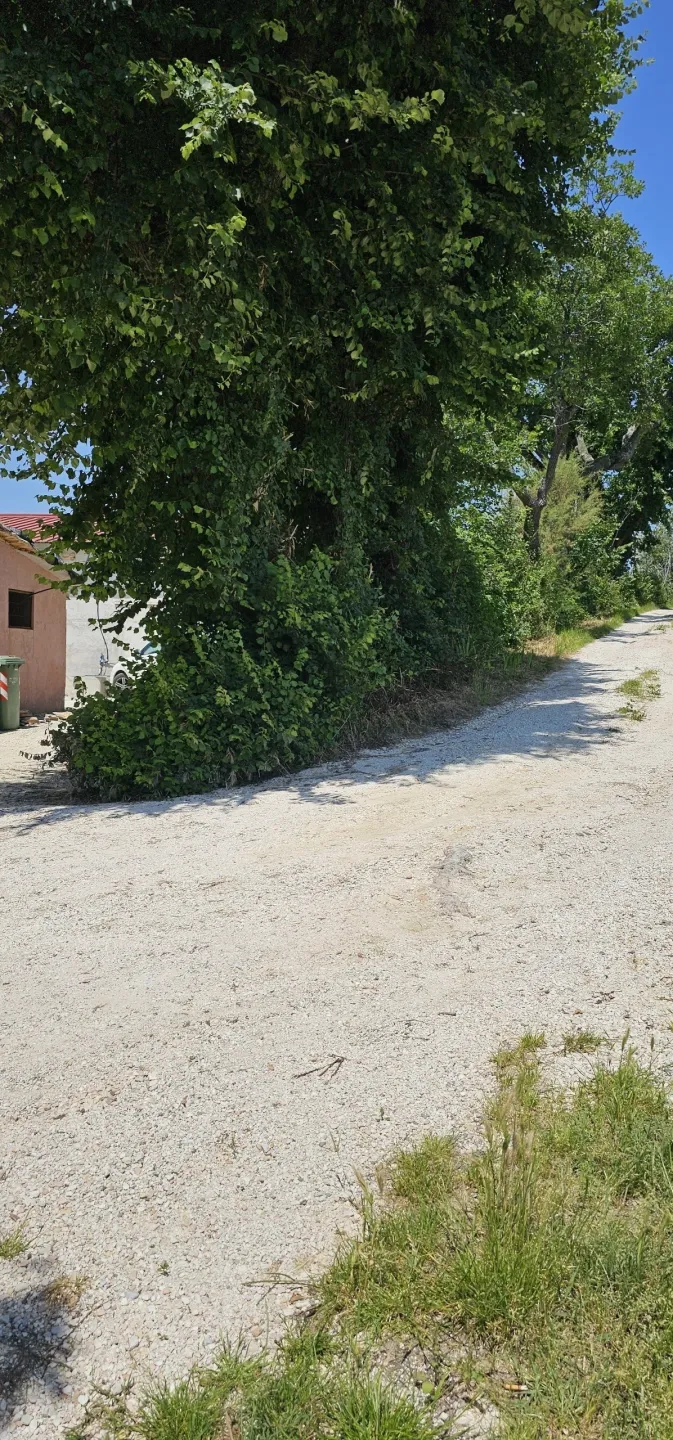 Immagine per casa in vendita a Belvedere Ostrense via Ponticelli 12