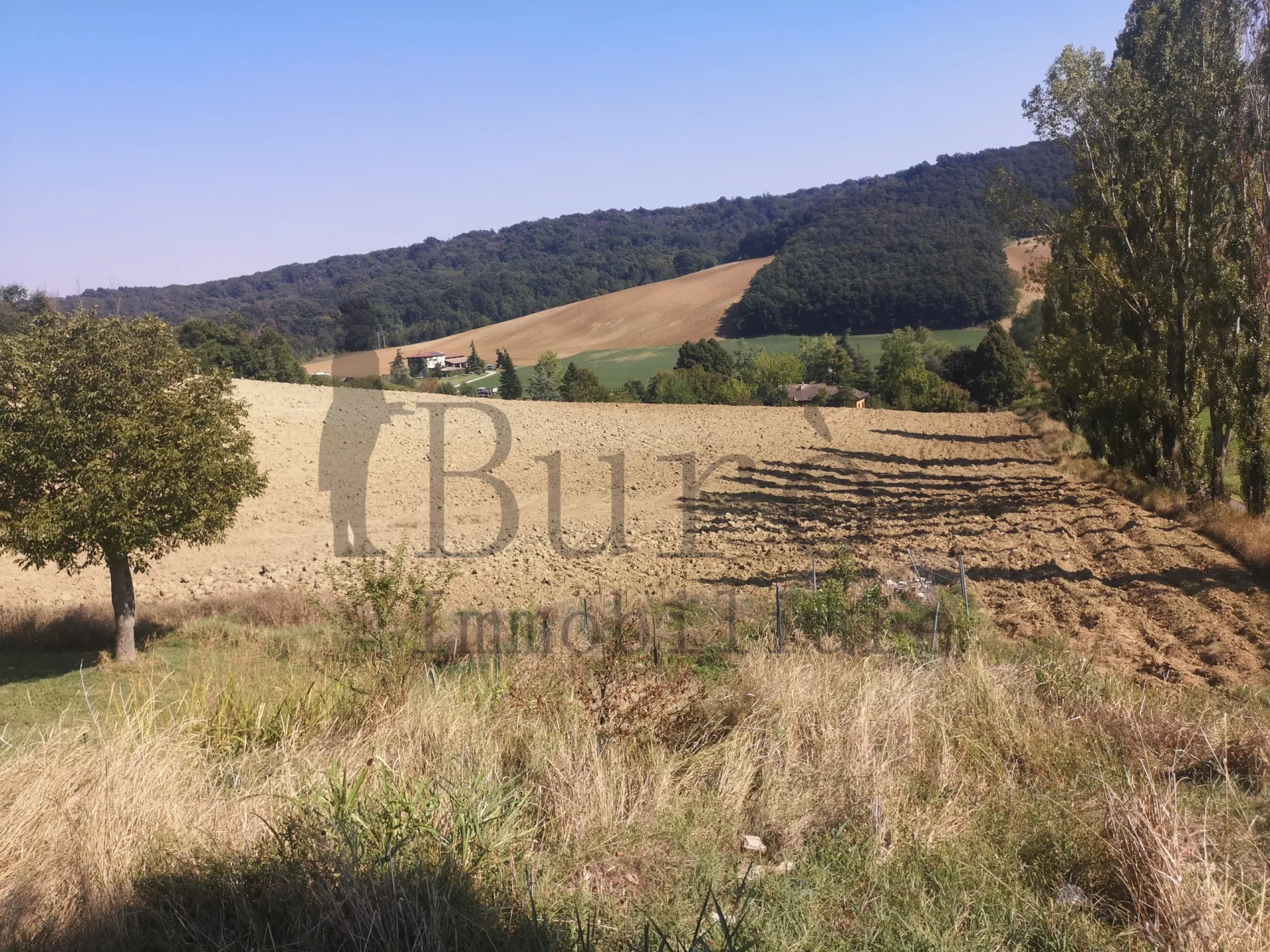 Immagine per Prato in vendita a Sala Baganza strada Delle Vigne 3