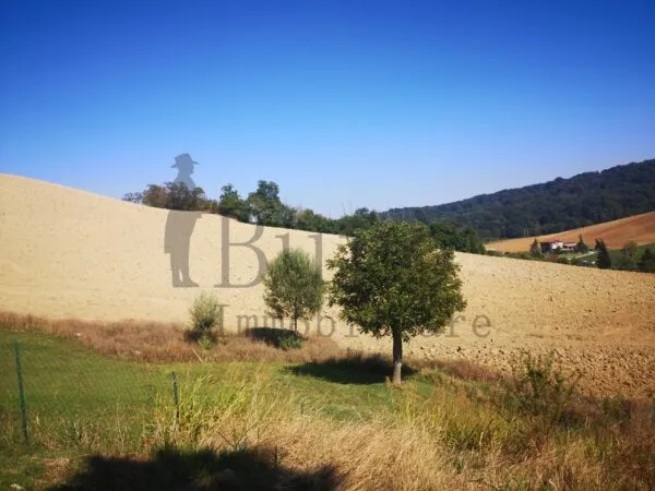 Prato strada Delle Vigne 3, Sala Baganza