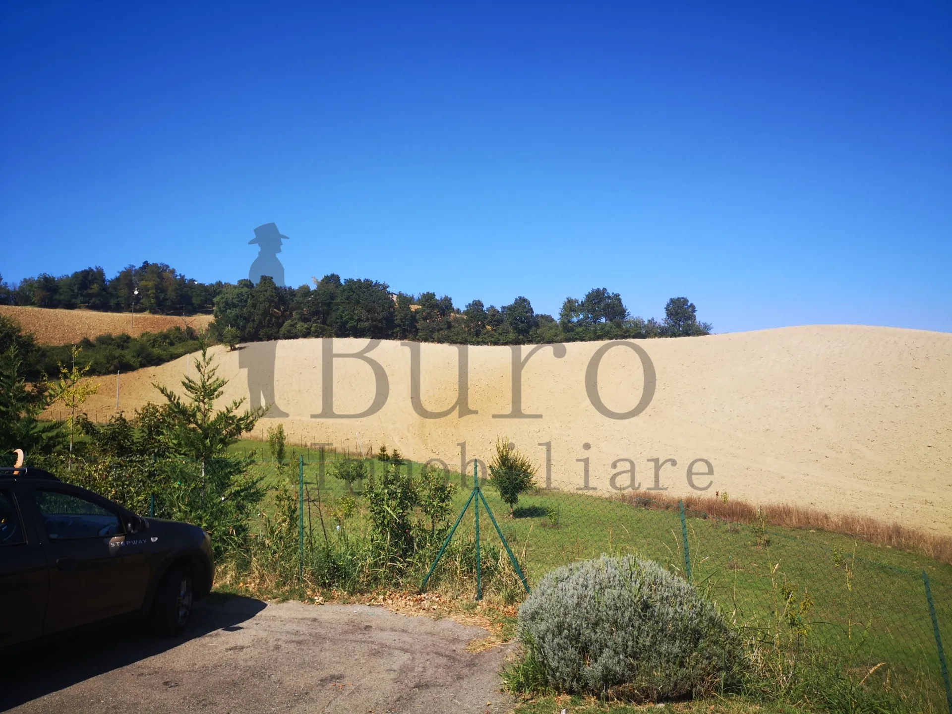 Immagine per Prato in vendita a Sala Baganza strada Delle Vigne 3