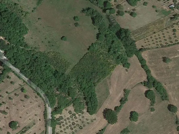 Immagine per Terreno Agricolo in vendita a Aprilia via Turano