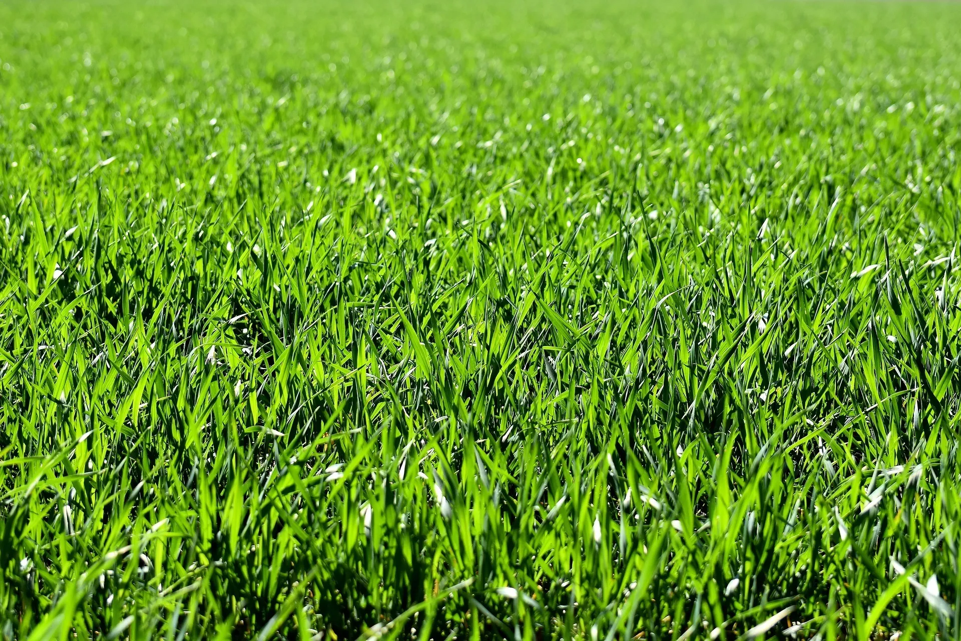 Immagine per Industriale in vendita a Verolanuova strada Quinzanese