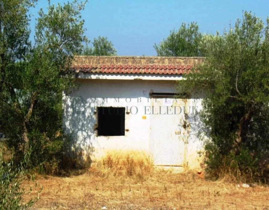 Immagine per casa in vendita a Sannicandro di Bari strada Provinciale