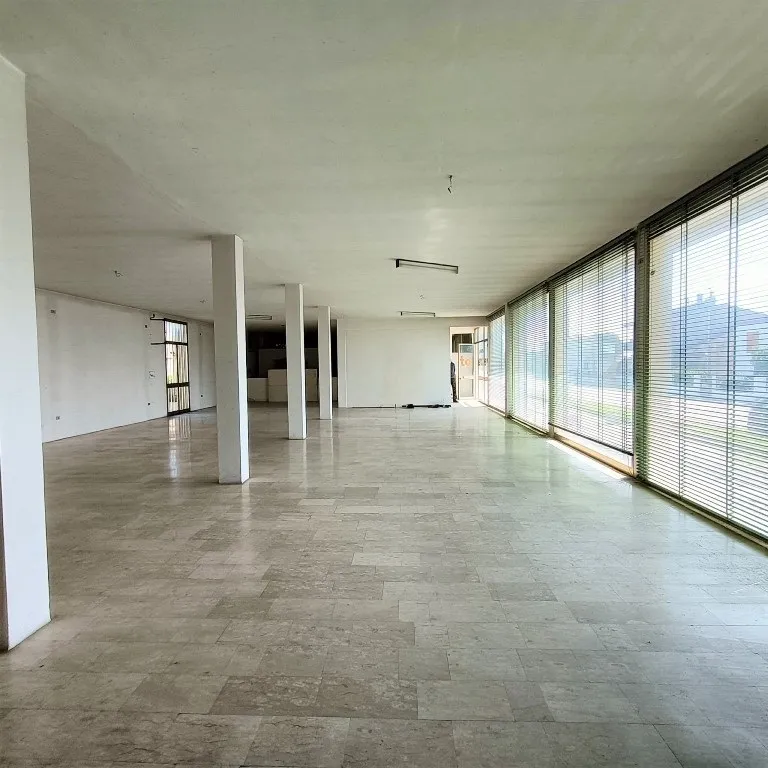 Immagine per Palazzo - Stabile in vendita a Ceregnano via Giuseppe Verdi 3024