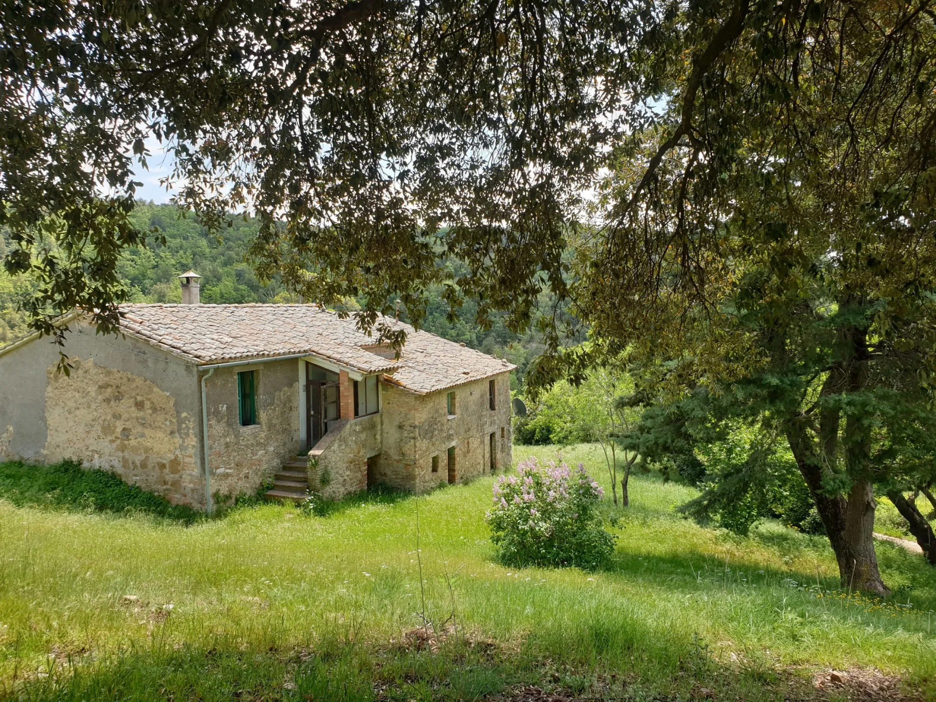 Immagine per Casale in vendita a Orvieto via Località Prodo
