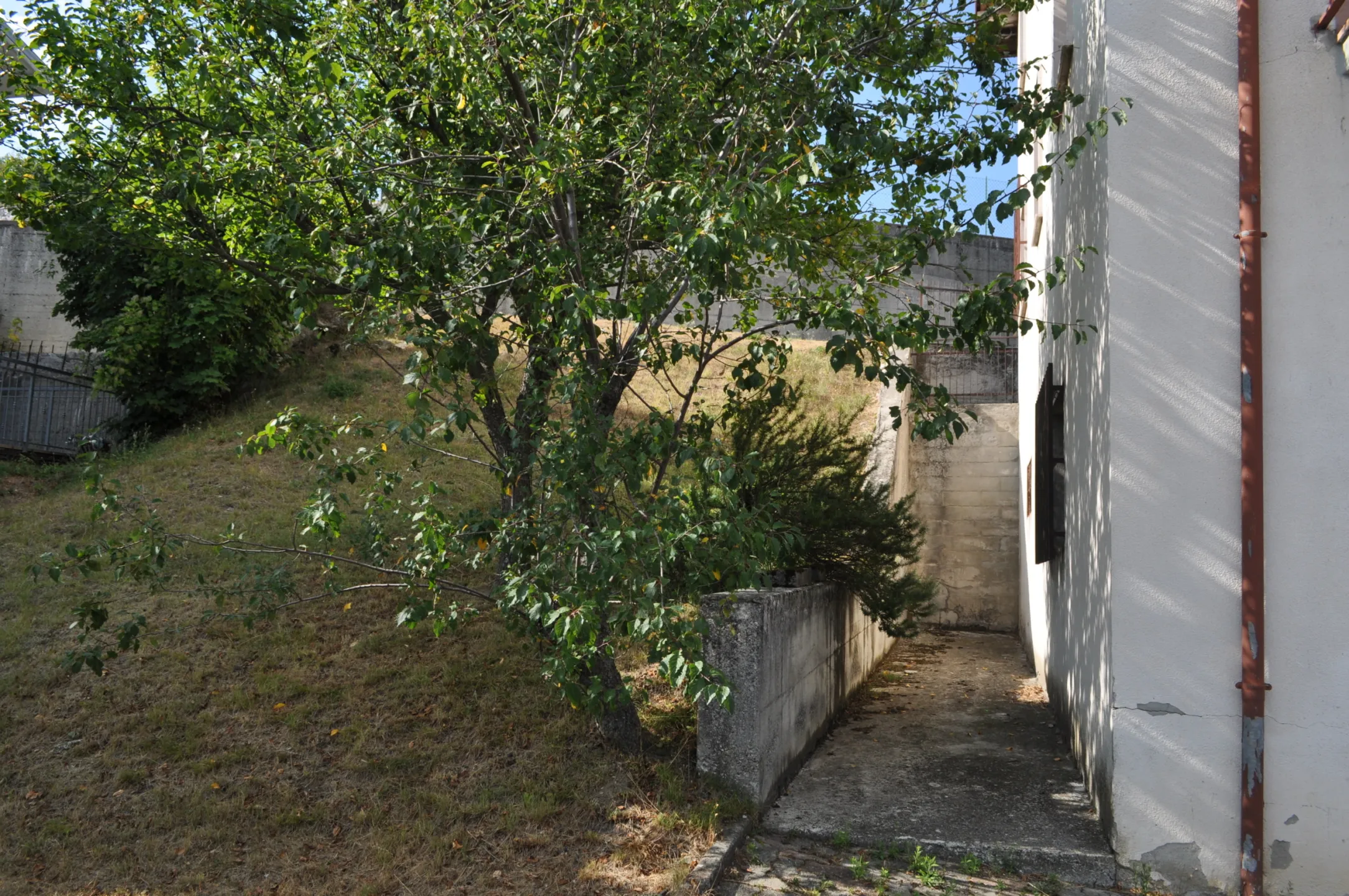 Immagine per Villa in vendita a Bore via Roma