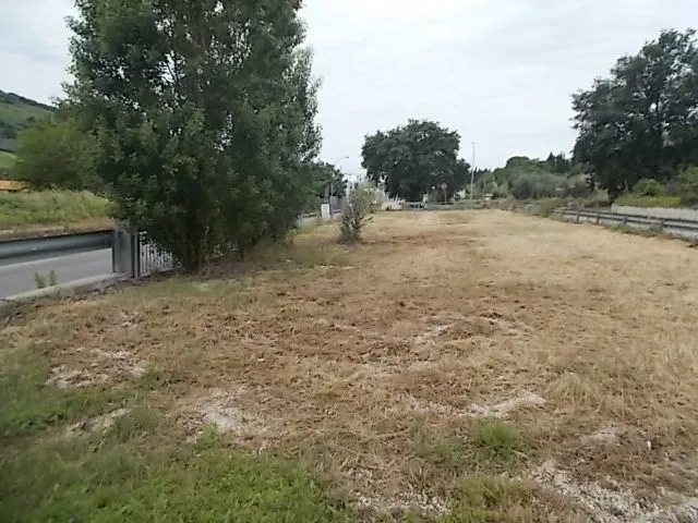 Immagine per Industriale in affitto a Ripatransone via Valtesino