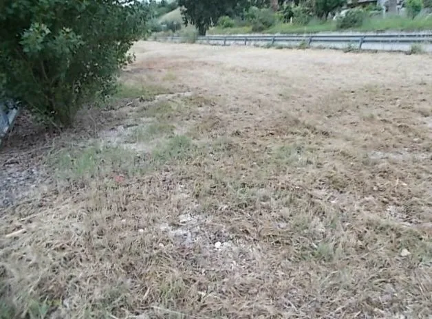 Immagine per Industriale in affitto a Ripatransone via Valtesino