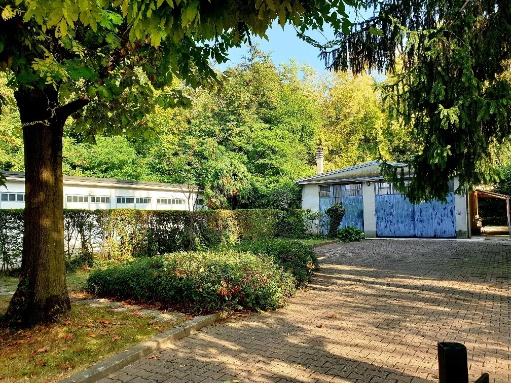 Immagine per Villa bifamiliare in vendita a Roccabianca strada Maestà Bassa 13