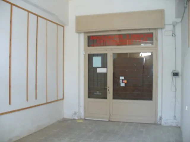 Immagine per Capannone in vendita a Lucca via Augusto Passaglia