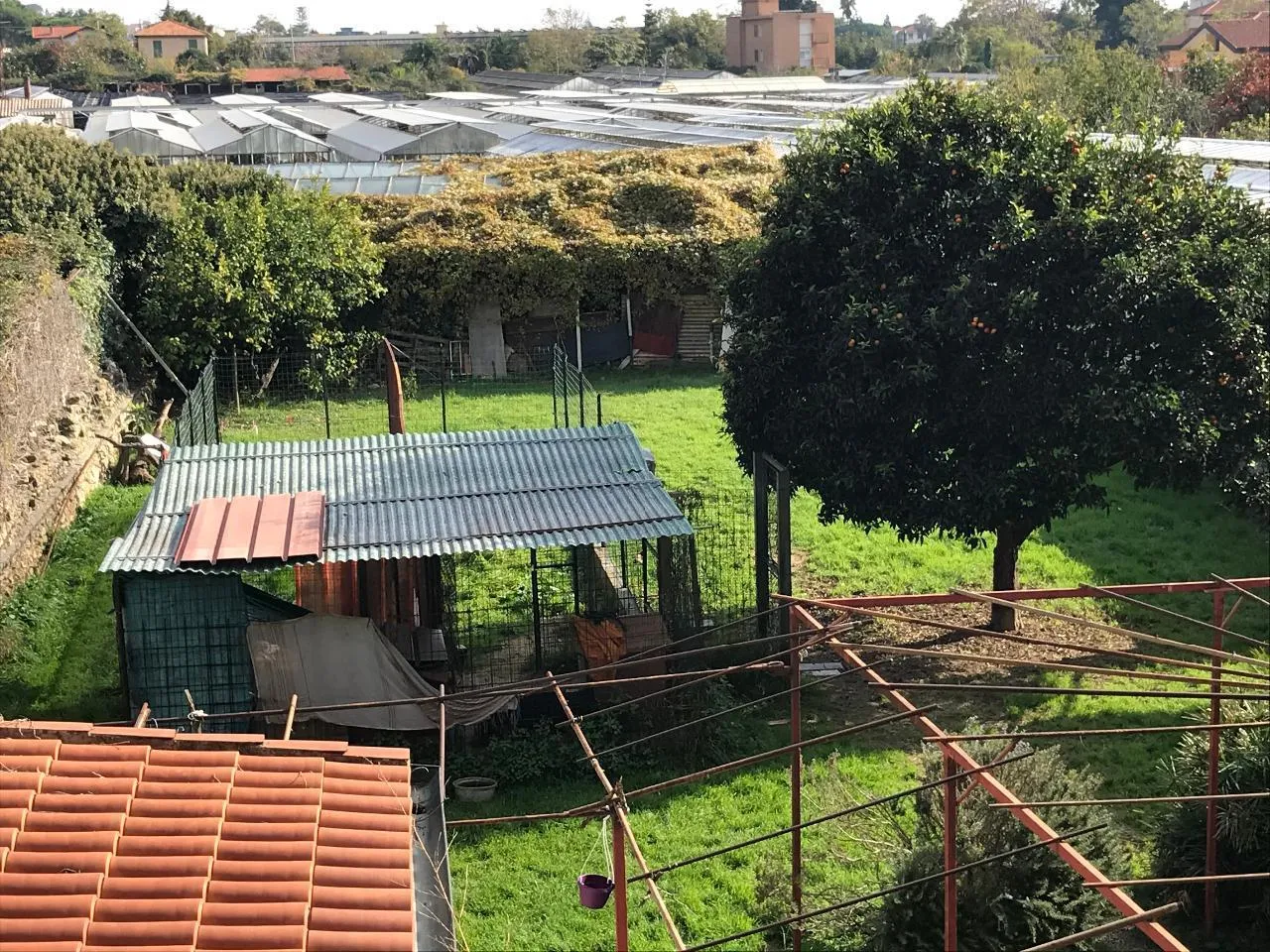 Immagine per Villa in vendita a Vallecrosia via Don Bosco