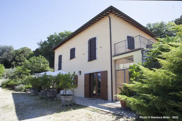 Villa via Vocabolo Pupigliano 25, Alviano